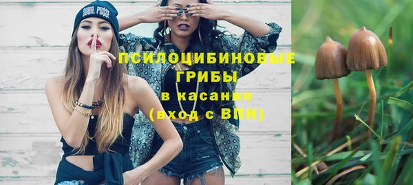 гидра Алзамай