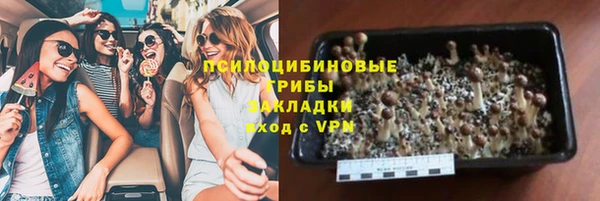 тгк Армянск