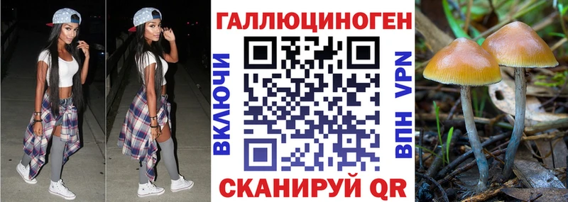Галлюциногенные грибы мицелий blacksprut вход Могоча